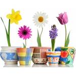 Fleurs et pots