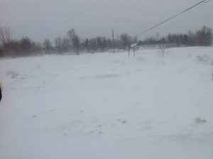 Clé des Champs 30 mars 2014