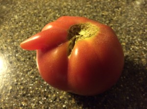 Tomate érotique