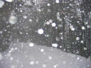 neige-tombante